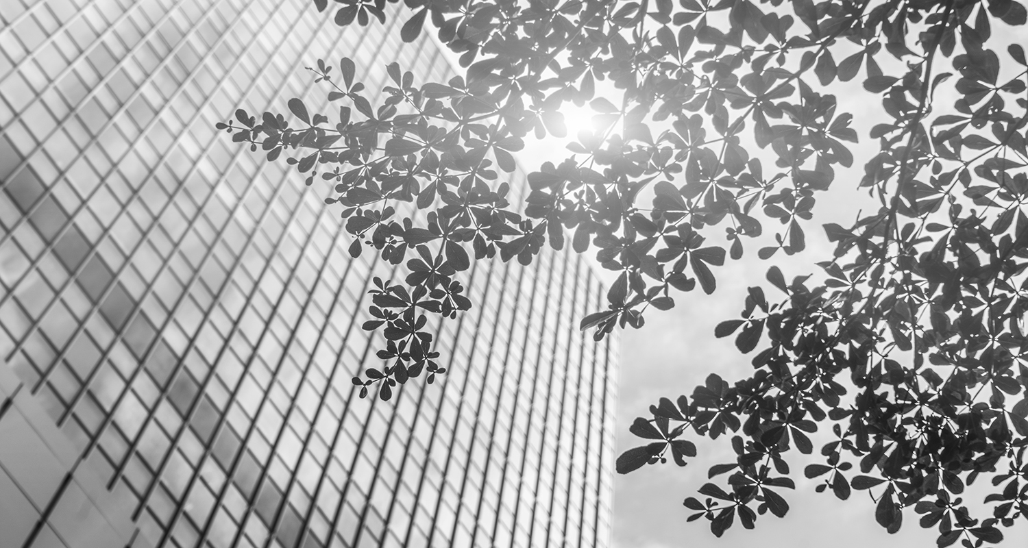 Scegliere consapevolmente per sentirsi davvero a casa