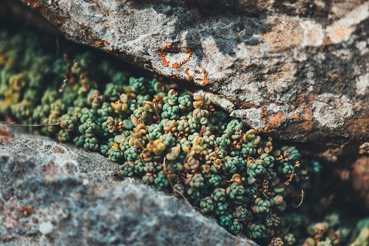 Tonalità morbide del gres porcellanato effetto pietra