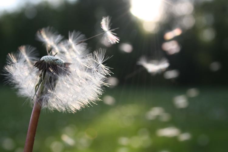 L’effetto resina nel rivoluzionario spessore 3mm